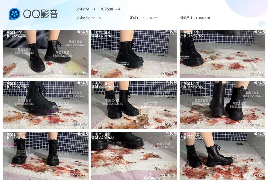 5460-萌棠金鱼[202